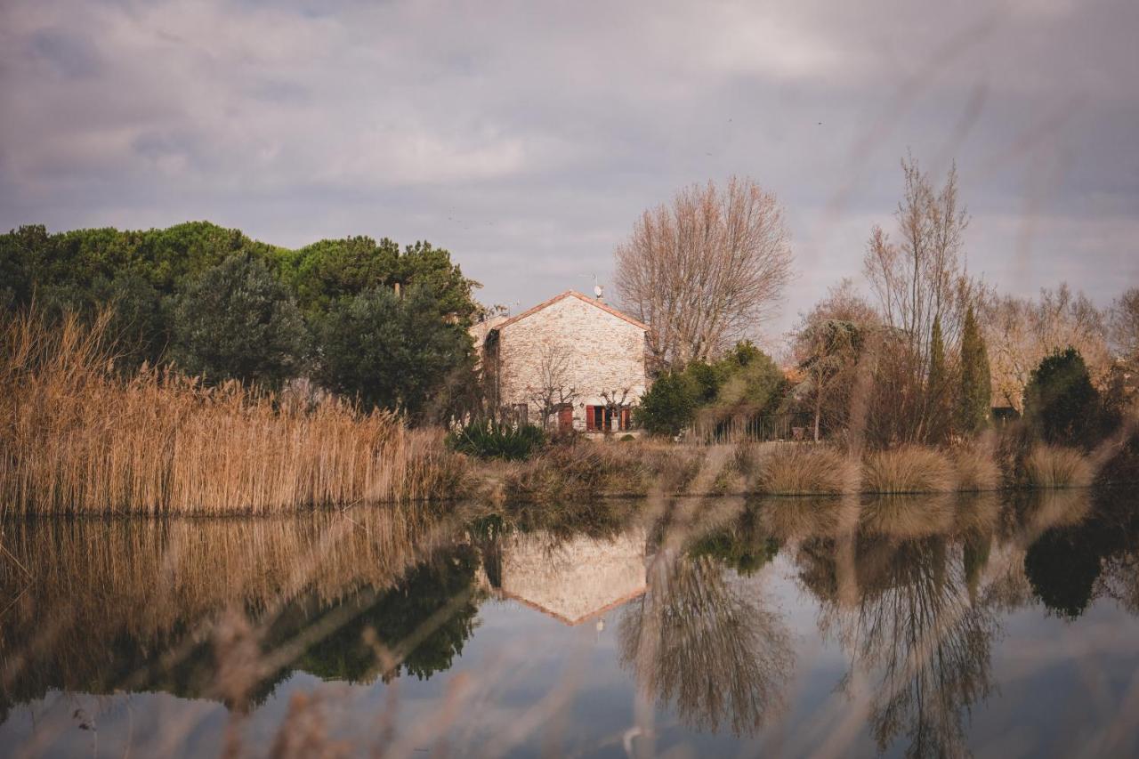 Waya A Domaine Saint Domingue Bed & Breakfast Narbonne Dış mekan fotoğraf